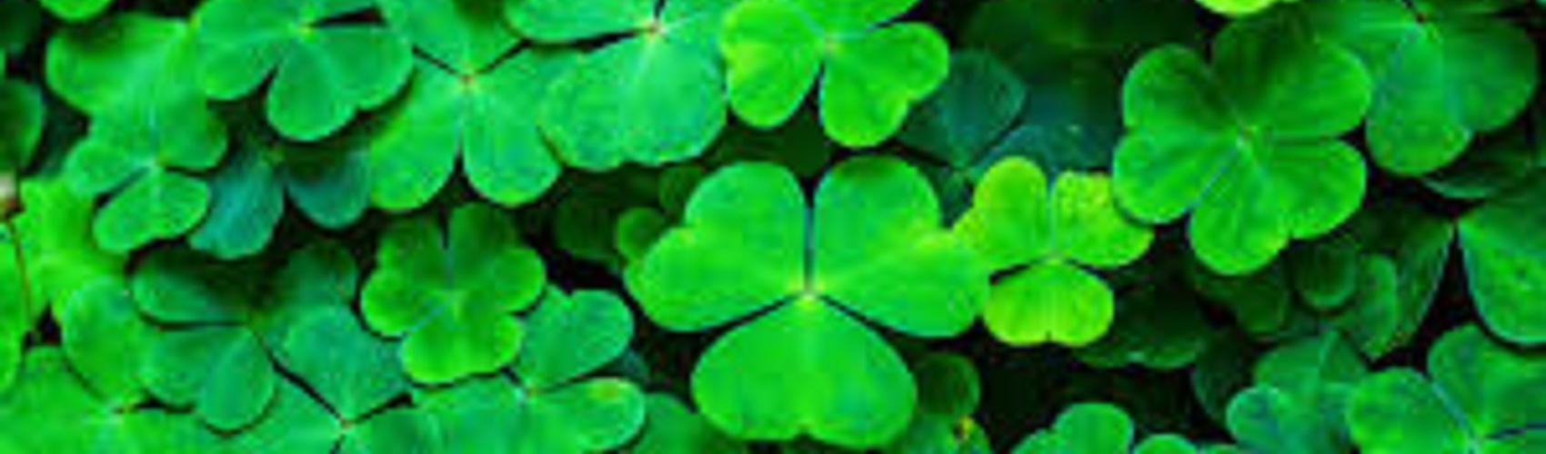 St Pats